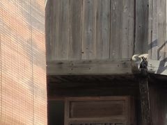 -荣家小吃(紫阳街店)