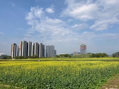 -光明小镇欢乐田园