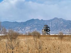 -野鸭湖国家湿地公园