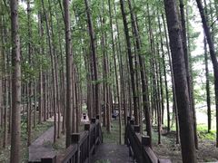 -南京金牛湖风景区