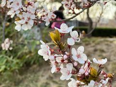 -元大都城垣遗址公园