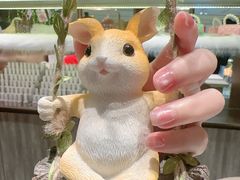 -海底捞火锅(龙岗星河COCO Park店)