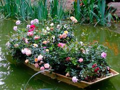 -人民公园(罗湖区)