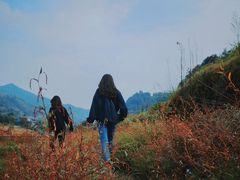 -瑞安圣井山景区