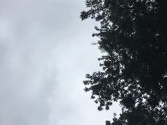 -四川大学(望江校区)