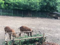 -北京山里寒舍度假酒店