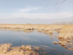 -野鸭湖国家湿地公园