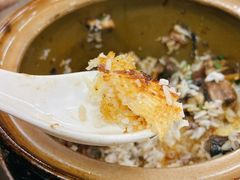 -红星光发煲仔饭(文海店)