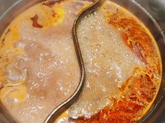 -温野菜涮涮锅(曲江大悦城店)