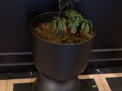 -涟LIAN·泰式按摩·MASSAGE·SPA(深业上城店)
