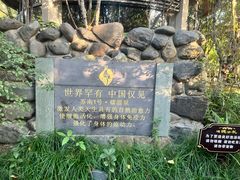 -张家港金凤凰度假村温泉