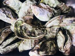 -罗源湾8号渔排