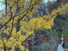 -阳台山自然风景区