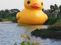 -深圳人才公园