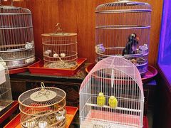 -老江南春·中国龙菜(衡山路店)