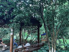 -杭州半山国家森林公园