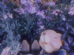 -萤火虫咖啡(后海店)