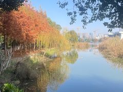 -月湖风景区