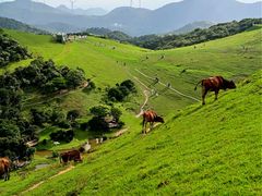 -大姆山草场