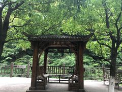 -长谷洞天