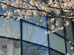 -上海虹桥当代艺术馆