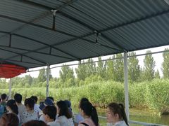 -白洋淀景区