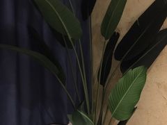 -新紫霞养生·影院足道·SPA(金山区店)