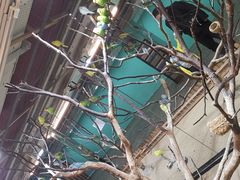 -上海大自然野生昆虫馆(东方明珠·爬宠昆虫探索中心)