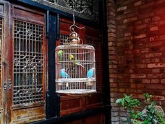 -鱼桥巷·美学川菜