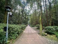 -宋宴(虎跑店)