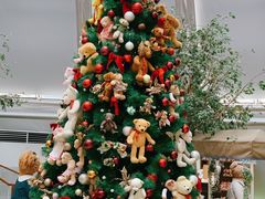 -济州岛泰迪熊博物馆