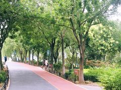 -大兴滨河森林公园