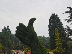 -富乐山