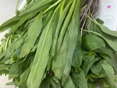 -Pho Hoa Pasteur