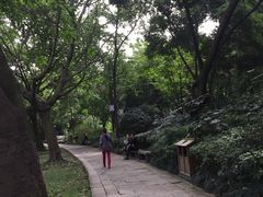 -成都市活水公园