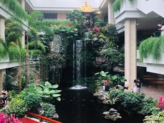 -白天鹅宾馆-宏图府餐厅