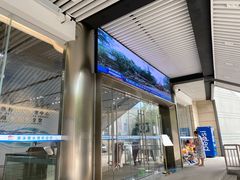 -重庆市奥林匹克体育中心-游泳跳水馆