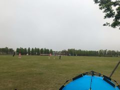 -春花秋色城市公园