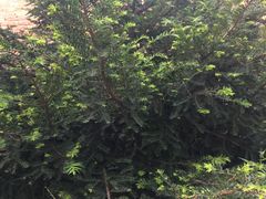 -万达影城(丽彩广场店)