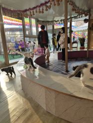 -萌宠亲子动物乐园(槐房万达店)