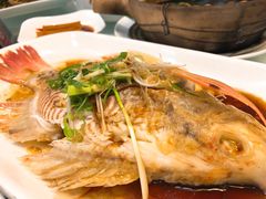 -勝記酒家·37年老字号·经典粤菜(荔枝公园店)