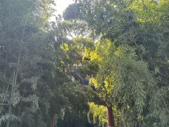 -红螺寺
