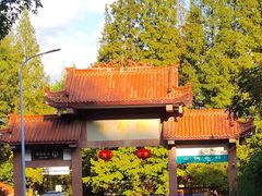 -缙云山景区