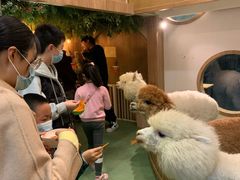 -藦茜花园宠物主题亲子互动体验馆(国顺东路店)