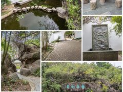 -深圳国际园林花卉博览园