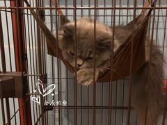 -塔拉苏咖啡(中信丹阳花园店)