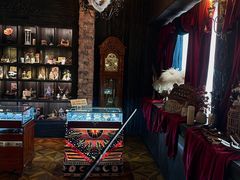 -雪灵魔法世界SHELLY’S TAROT(大良桂畔里店)