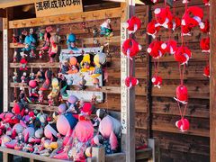 -医王山·飞騨国分寺