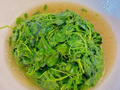 -新聚丰菜馆(太监弄店)