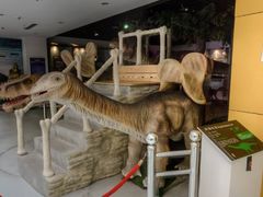 -中国地质大学逸夫博物馆